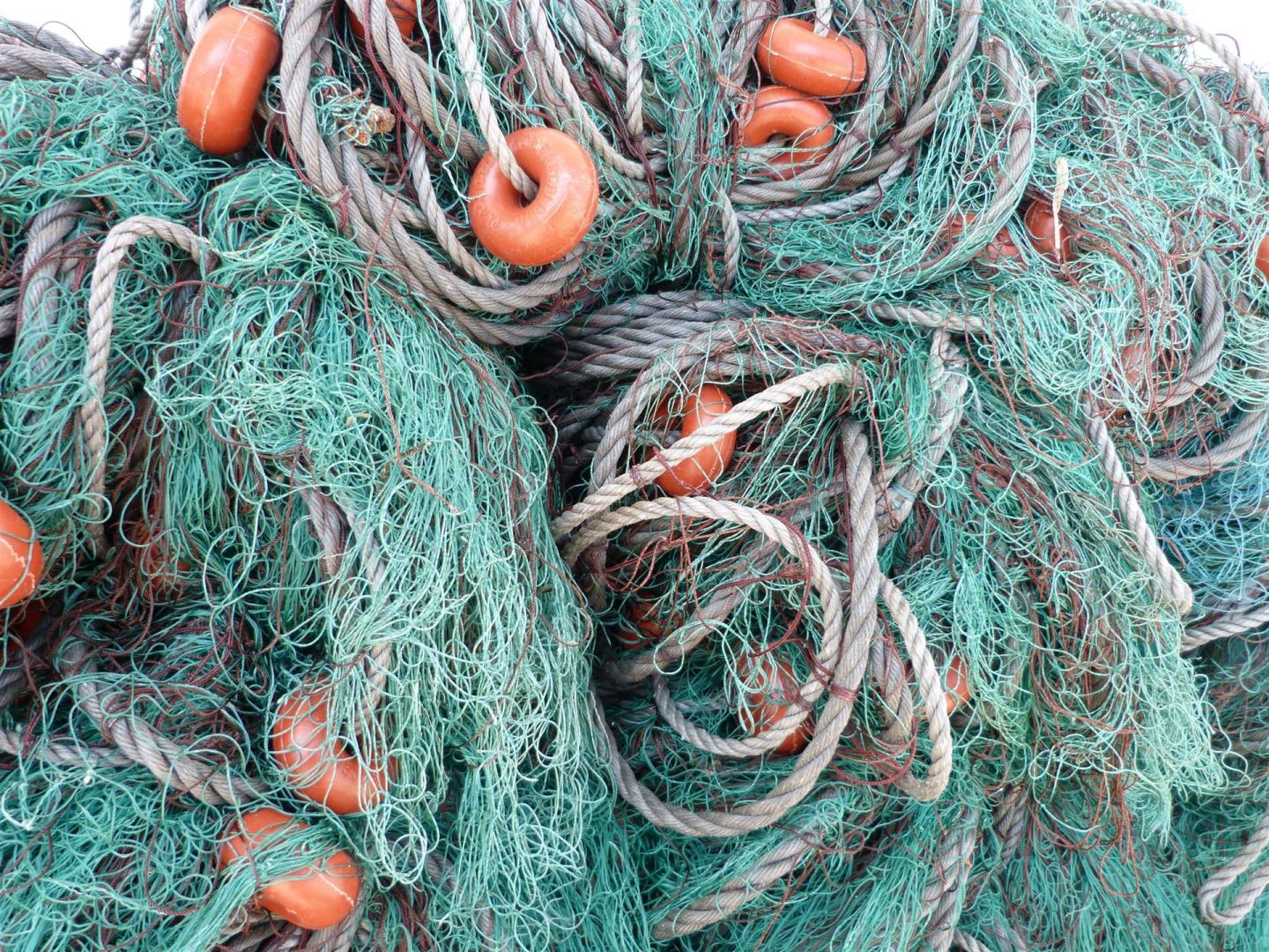fischernetze, fischernetz, fischerei, netz, hafen, küste, fischfang, fischernetz, fischfang, fischfang, fischfang, fischfang, fischfang